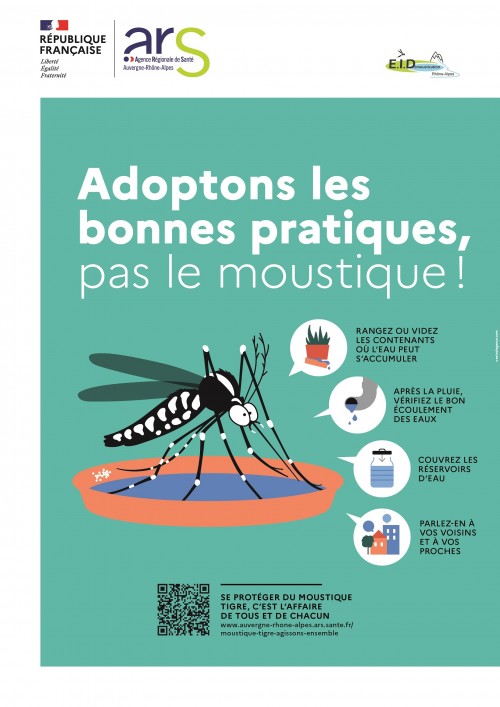 Agissons tous contre le moustique tigre