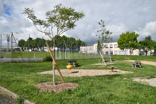 De nouveaux arbres plantés dans la commune