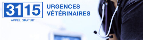 Urgences vétérinaires : appelez le 3115