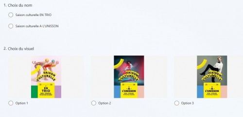 SONDAGE : CHOISISSEZ LE VISUEL ET LE NOM DE LA 1ÈRE SAISON CULTURELLE MUTUALISÉE