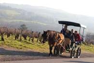 Image de l'association : ADAS - Accueil et Développement des personnes Aveugles Surhandicapées